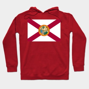 Florida State Flag Hoodie